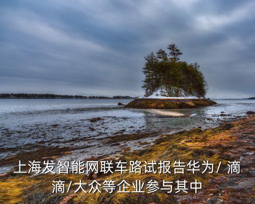 上海發(fā)智能網聯(lián)車路試報告華為/ 滴滴/大眾等企業(yè)參與其中