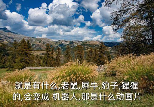 就是有什么,老鼠,犀牛,豹子,猩猩的,會變成 機器人,那是什么動畫片