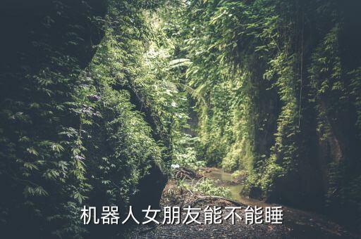 女人用性機器人舒服嗎