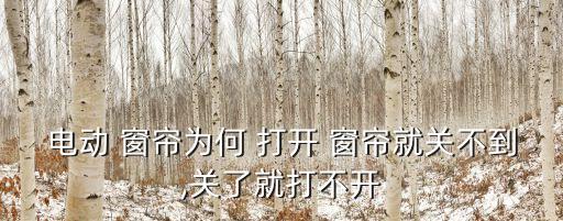自動窗簾怎么打開,關(guān)閉兩個窗簾的注意事項