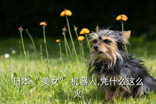 機器人美女功能,機器美女機器人購買