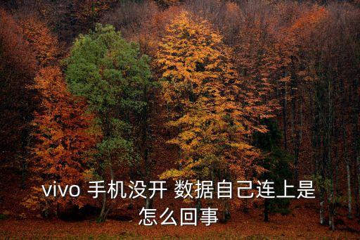 vivo 手機(jī)沒開 數(shù)據(jù)自己連上是怎么回事