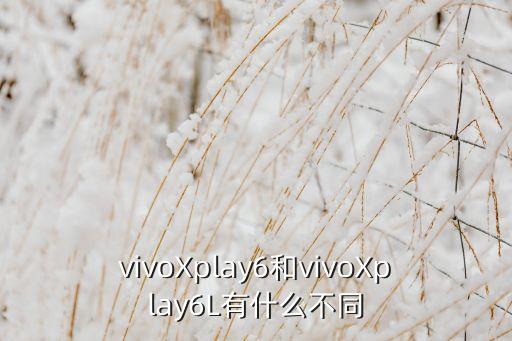 vivoXplay6和vivoXplay6L有什么不同