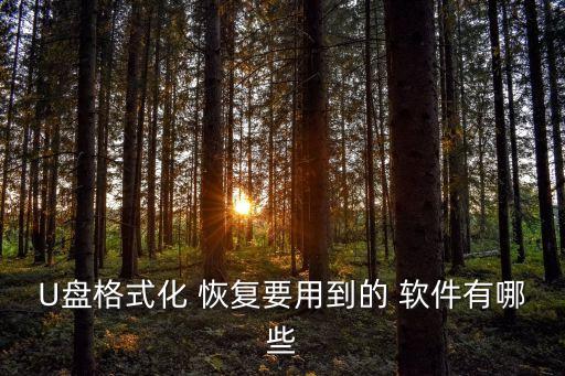 U盤(pán)格式化 恢復(fù)要用到的 軟件有哪些