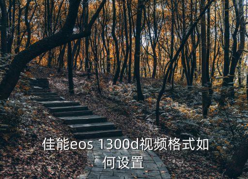 佳能1300d自動程序模式,電眼掃描模式下怎么調(diào)?