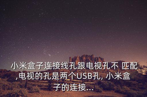  小米盒子連接線孔跟電視孔不 匹配,電視的孔是兩個(gè)USB孔, 小米盒子的連接...