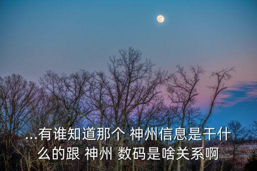 ...有誰知道那個(gè) 神州信息是干什么的跟 神州 數(shù)碼是啥關(guān)系啊
