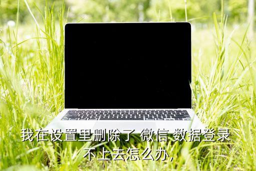 我在設(shè)置里刪除了 微信 數(shù)據(jù)登錄 不上去怎么辦,