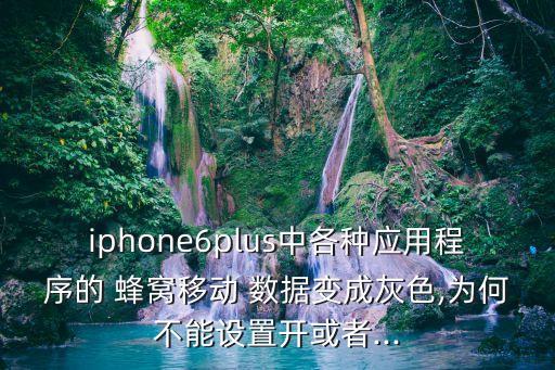 訪問限制 蜂窩移動(dòng)數(shù)據(jù),iphone蜂窩數(shù)據(jù)下載限制