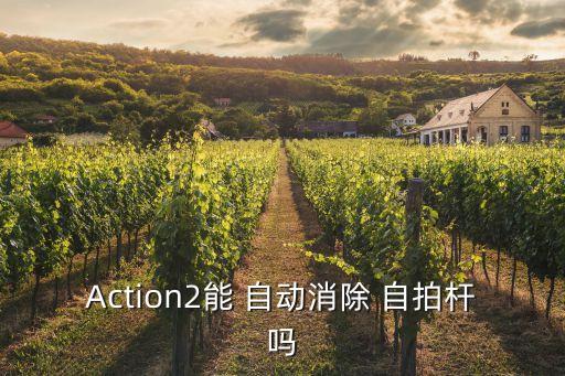 Action2能 自動(dòng)消除 自拍桿嗎