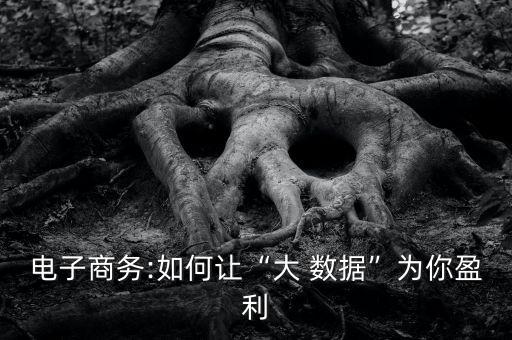 電子商務(wù):如何讓“大 數(shù)據(jù)”為你盈利