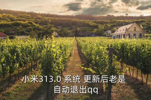小米313.0 系統(tǒng) 更新后老是 自動退出qq