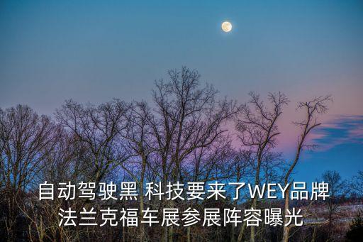 汽車黑科技自動(dòng),本屆車展將展出兩款新能源車型