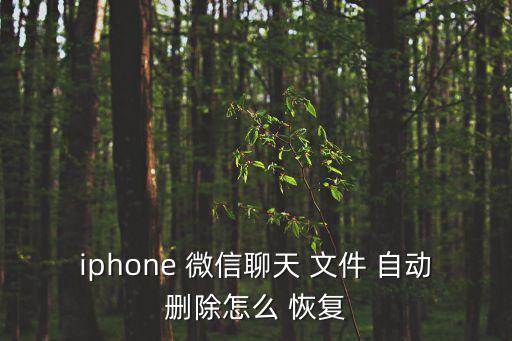 iphone 微信聊天 文件 自動(dòng)刪除怎么 恢復(fù)