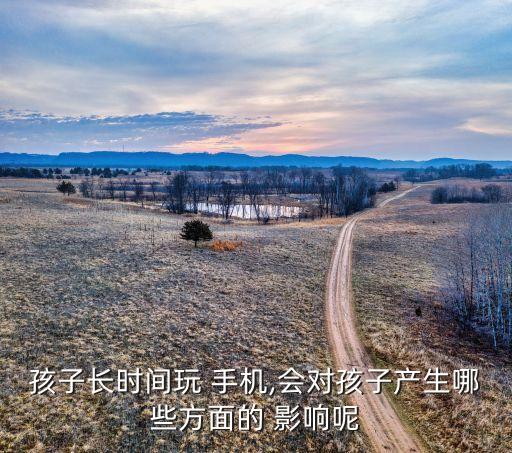 孩子長時間玩 手機,會對孩子產(chǎn)生哪些方面的 影響呢
