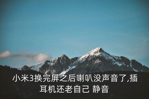  小米3換完屏之后喇叭沒聲音了,插耳機還老自己 靜音