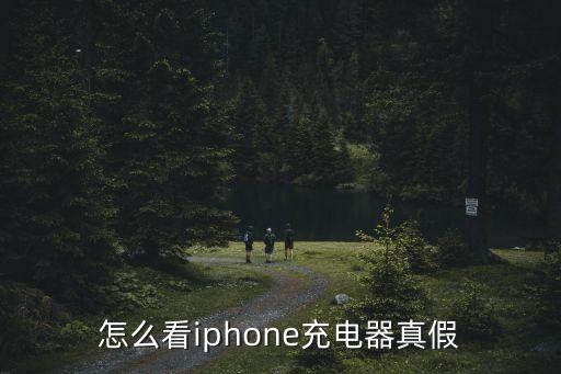 怎么看iphone充電器真假