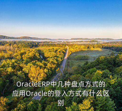 OracleERP中幾種盤點方式的應(yīng)用Oracle的登入方式有什么區(qū)別