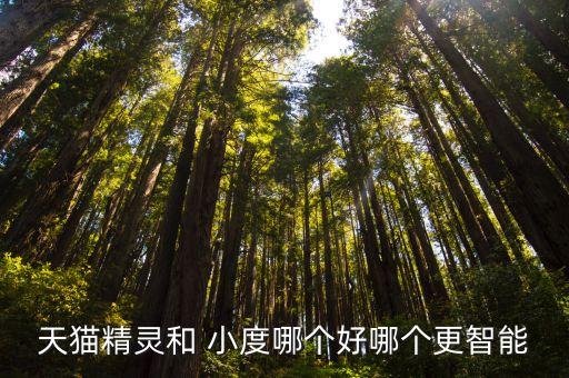 天貓精靈和 小度哪個好哪個更智能