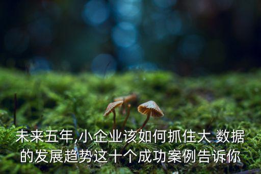 未來五年,小企業(yè)該如何抓住大 數(shù)據(jù)的發(fā)展趨勢這十個成功案例告訴你
