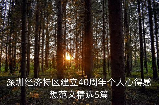 深圳經(jīng)濟(jì)特區(qū)建立40周年個人心得感想范文精選5篇
