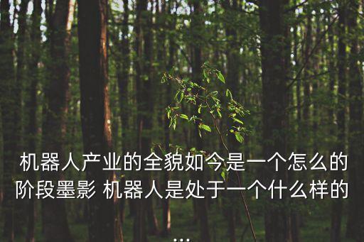  機(jī)器人產(chǎn)業(yè)的全貌如今是一個(gè)怎么的階段墨影 機(jī)器人是處于一個(gè)什么樣的...