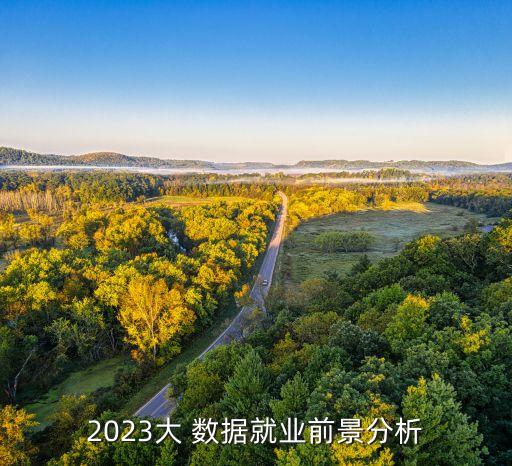 2023大 數(shù)據(jù)就業(yè)前景分析