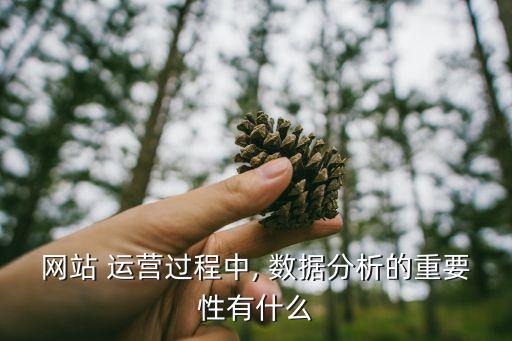 網(wǎng)站 運(yùn)營(yíng)過(guò)程中, 數(shù)據(jù)分析的重要性有什么