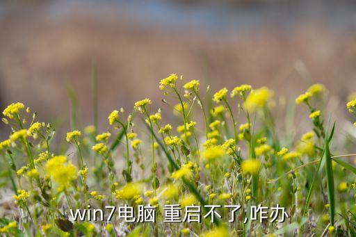 win7 不能自動重啟,win7電腦無法進入系統(tǒng)怎么辦?