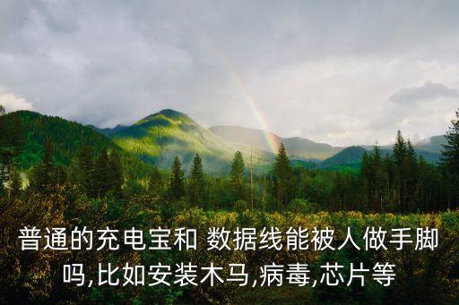 數(shù)據(jù)線被自行車