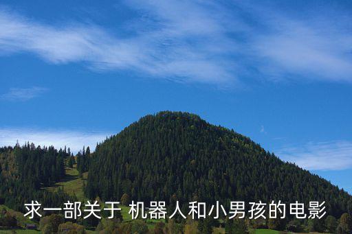 求一部關(guān)于 機(jī)器人和小男孩的電影