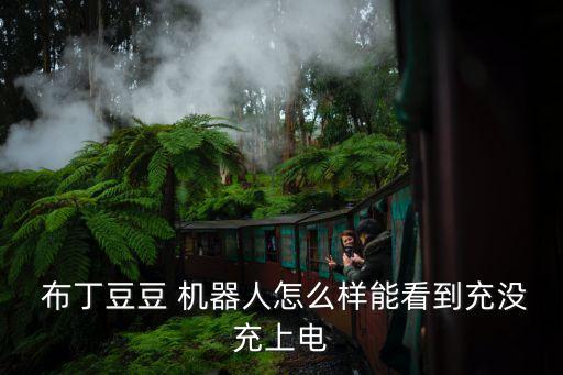  布丁豆豆 機器人怎么樣能看到充沒充上電