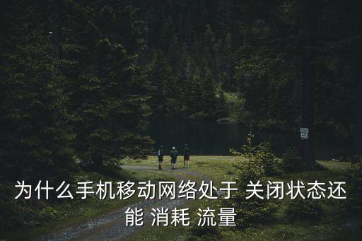 為什么手機(jī)移動(dòng)網(wǎng)絡(luò)處于 關(guān)閉狀態(tài)還能 消耗 流量
