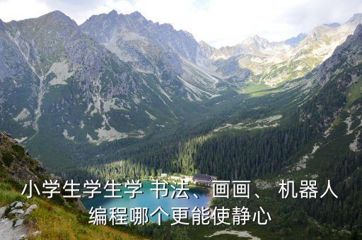 小學(xué)生學(xué)生學(xué) 書法、畫畫、 機器人編程哪個更能使靜心