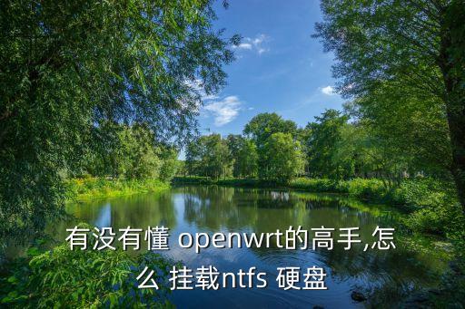 openwrt自動掛載硬盤,武漢出現(xiàn)第二起確診病例