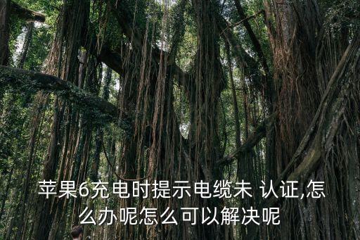 蘋果六如何認(rèn)證數(shù)據(jù)線,倍思蘋果數(shù)據(jù)線有MFI認(rèn)證嗎