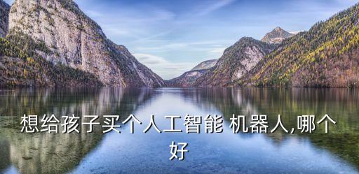 想給孩子買個(gè)人工智能 機(jī)器人,哪個(gè)好