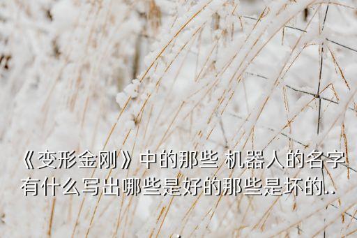 《變形金剛》中的那些 機(jī)器人的名字有什么寫出哪些是好的那些是壞的...