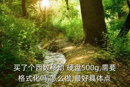 西部數(shù)據(jù)移動硬盤買回來還用做別的處理嗎