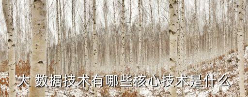 大 數(shù)據(jù)技術(shù)有哪些核心技術(shù)是什么