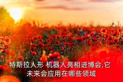 特斯拉人形 機器人亮相進博會,它 未來會應(yīng)用在哪些領(lǐng)域