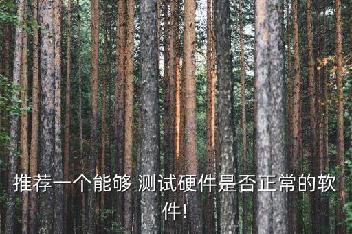 推薦一個(gè)能夠 測(cè)試硬件是否正常的軟件!