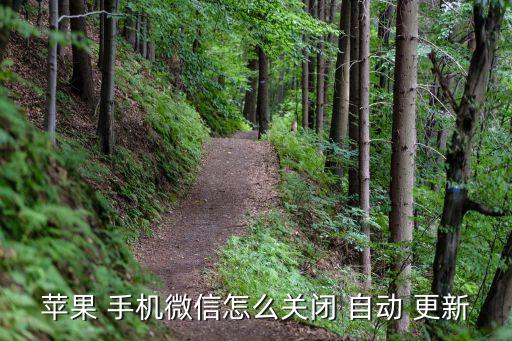 wp手機時間自動更新,蘋果上的qq微信手機更新按照步驟進行
