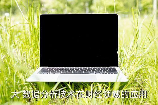 大 數(shù)據(jù)分析技術(shù)在財經(jīng)領(lǐng)域的應(yīng)用