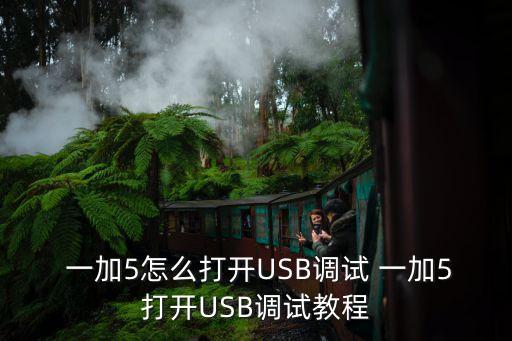 一加5怎么打開(kāi)USB調(diào)試 一加5打開(kāi)USB調(diào)試教程