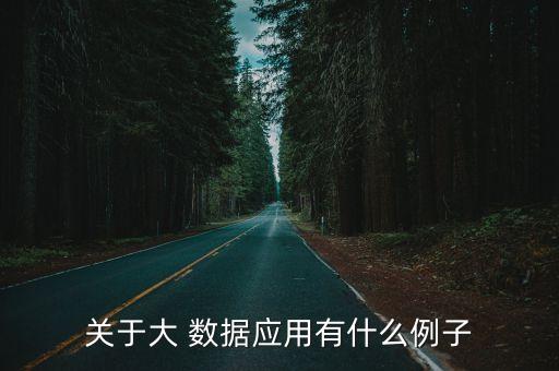 關(guān)于大 數(shù)據(jù)應(yīng)用有什么例子
