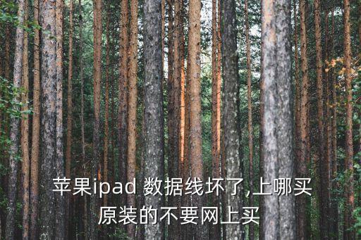  蘋果ipad 數(shù)據(jù)線壞了,上哪買原裝的不要網(wǎng)上買