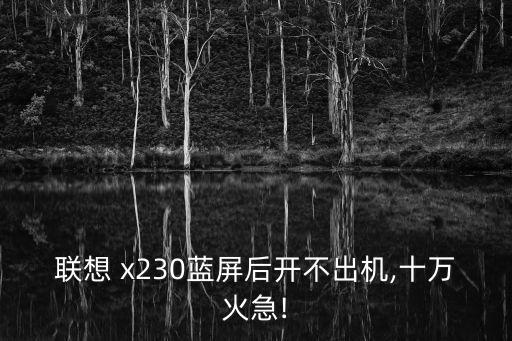 聯(lián)想 x230藍屏后開不出機,十萬火急!