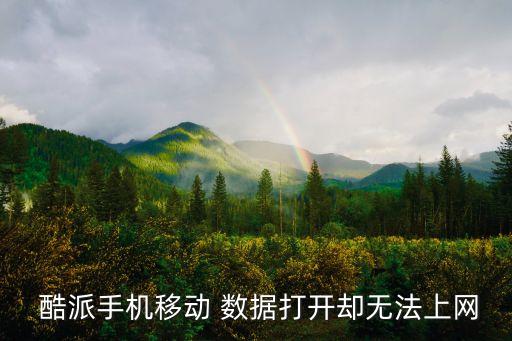 酷派5109數(shù)據(jù)連接不上
