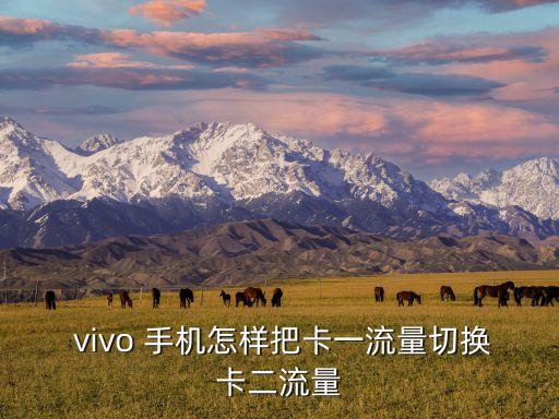  vivo 手機(jī)怎樣把卡一流量切換卡二流量